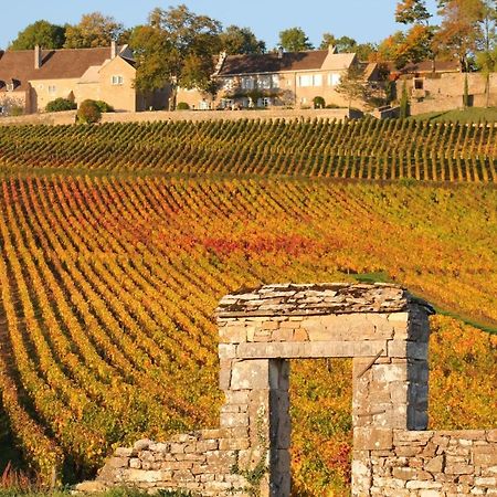 Hotel Le Nid Bourguignon à Chalon-sur-Saône Extérieur photo